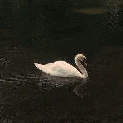 𝒢𝓁ℴ𝓇𝓎
