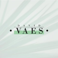 David Vaes