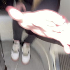 Lit LYSSA
