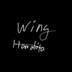 Wing    wbw Type-C