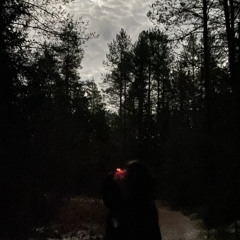 045kitnull