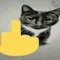 fuck you