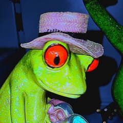 toy (theorist of youth)