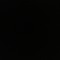 user169563541