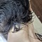Jero