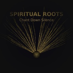 Spiritual Groove - Malcolm Silverio