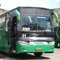 Fariñas Trans 81 Bus Driver (朝倉アキオ)