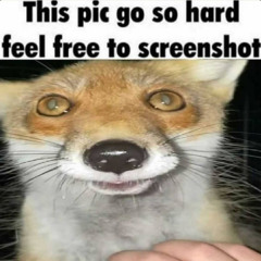Just random shit
