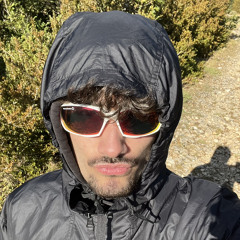 alex vb