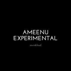 ameenu_experimental