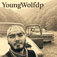YoungWolfdp  Official