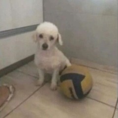 tremendo