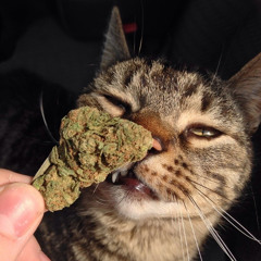 DNB