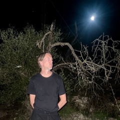 martinpetersson