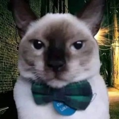 mrsexo
