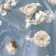 نويّر ‏ᥫ᭡