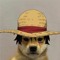 Mugiwara No Doge