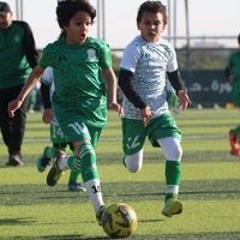 حارث محمود ابوهنديه