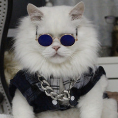 docbelal