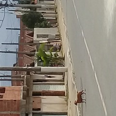 BAILE DAS CASINHAS 😏✌