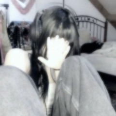 zxdnqlfl