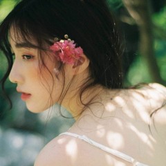 HoNgPgL