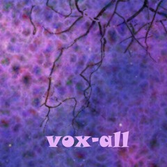 vox-all