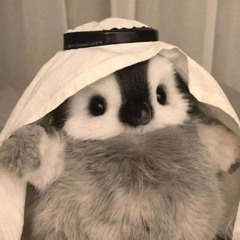 Related tracks: Chẳng ai yêu mãi một người Remix