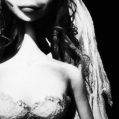 ♰ LUNACY HAVEN ♰