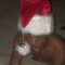 LLJ