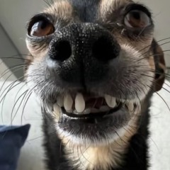 rafa