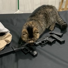 satanatemycat