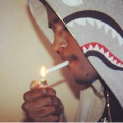 TNO ROACH