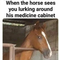 bellicose political DJ