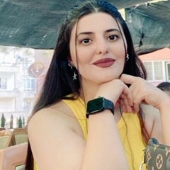 Bafrin Shekhzadeh