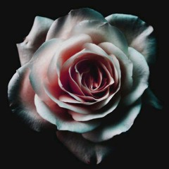 Waltz🌹