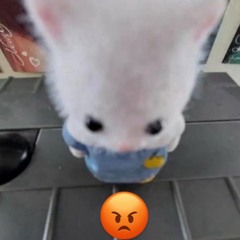 ubini
