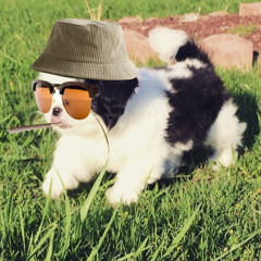 Tokio.Sniper
