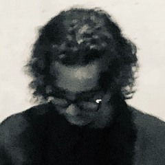 hamed