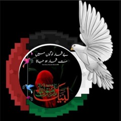 Shah bano Hussaini Mustafai