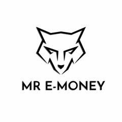 MR E-MONEY