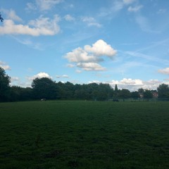 Stephanie Carly Jaques