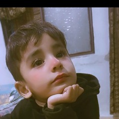 Nasir Bhutta