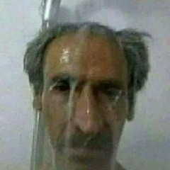 ебать бобров228