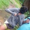 MaHeZz_987