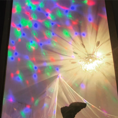 Florence-Émilie Morin