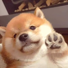 YuukiChanZz