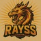 RAYSS DNB