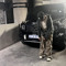 *bandman6ix