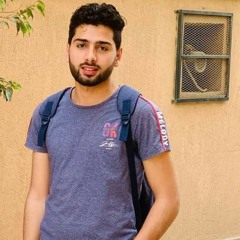 Ansary Gad Allh